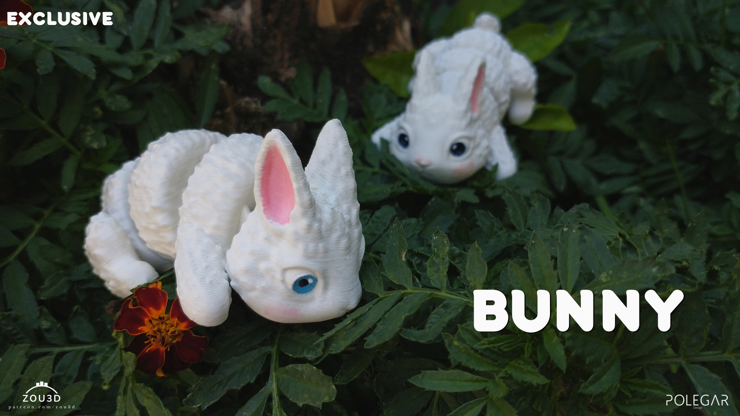 Bunny