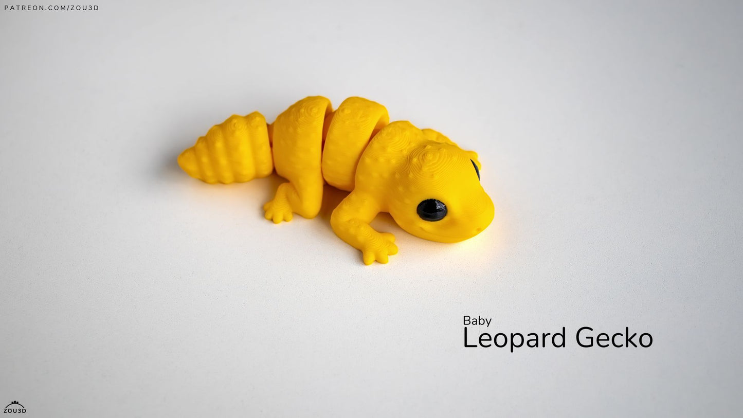 Baby Leopard Gecko