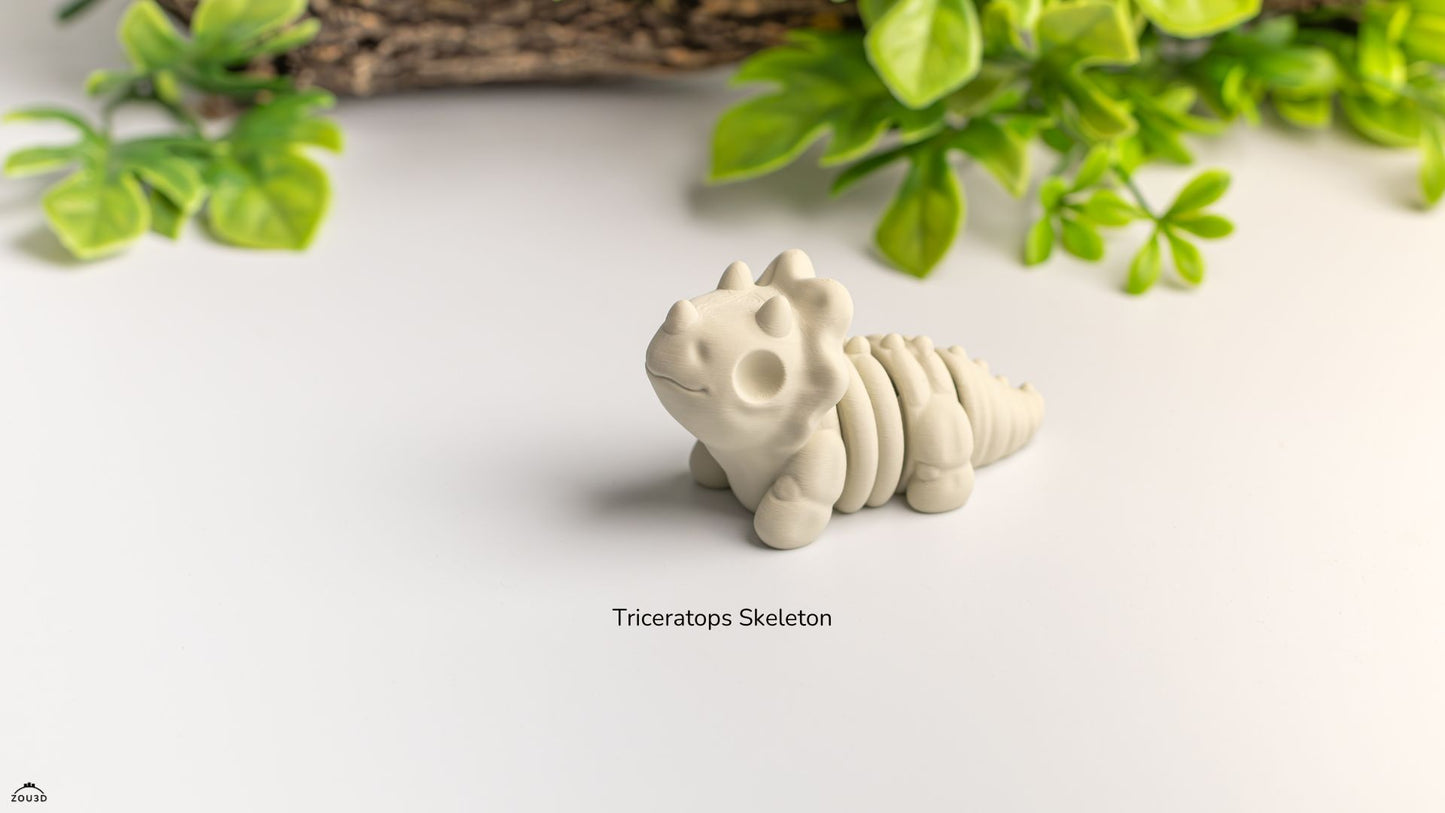 Baby Triceratops Skeleton