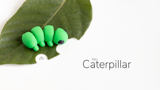 Baby Caterpillar