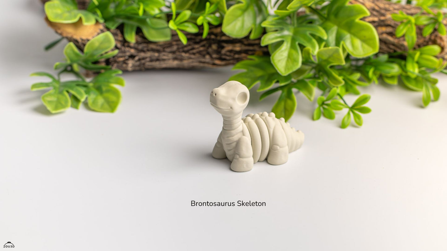 Baby Brontosaur Skeleton