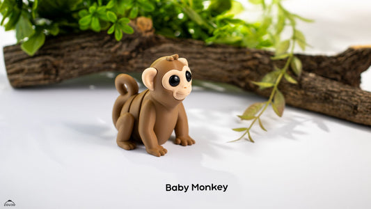 Baby Monkey