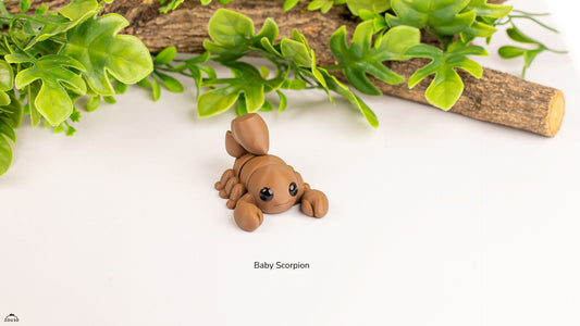 Baby Scorpion