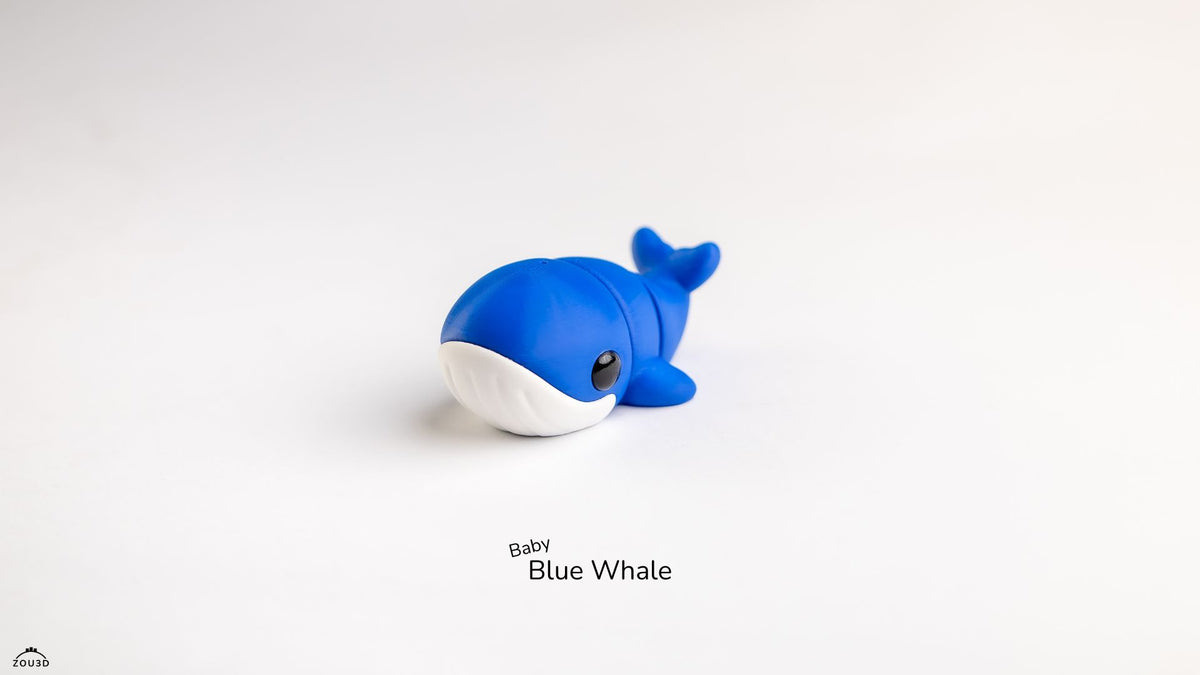 Baby Blue Whale