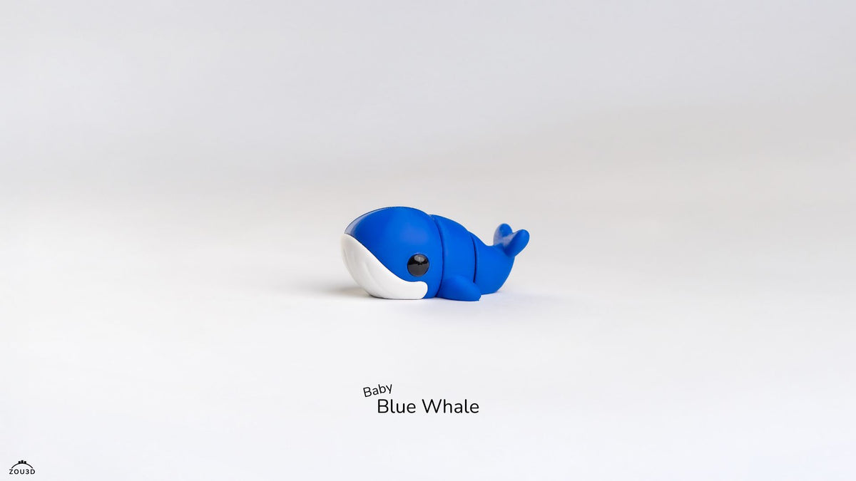 Baby Blue Whale