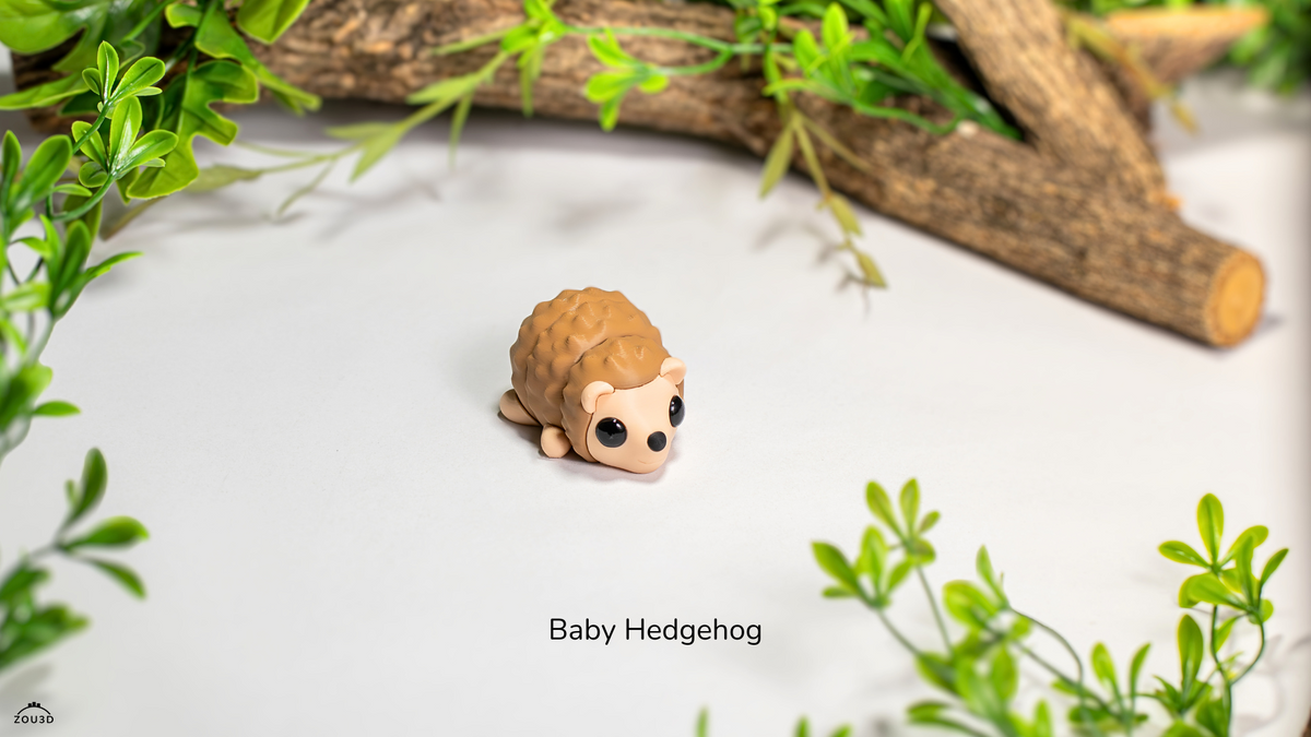 Baby Hedgehog