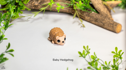 Baby Hedgehog
