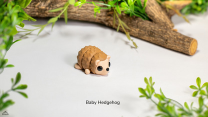 Baby Hedgehog