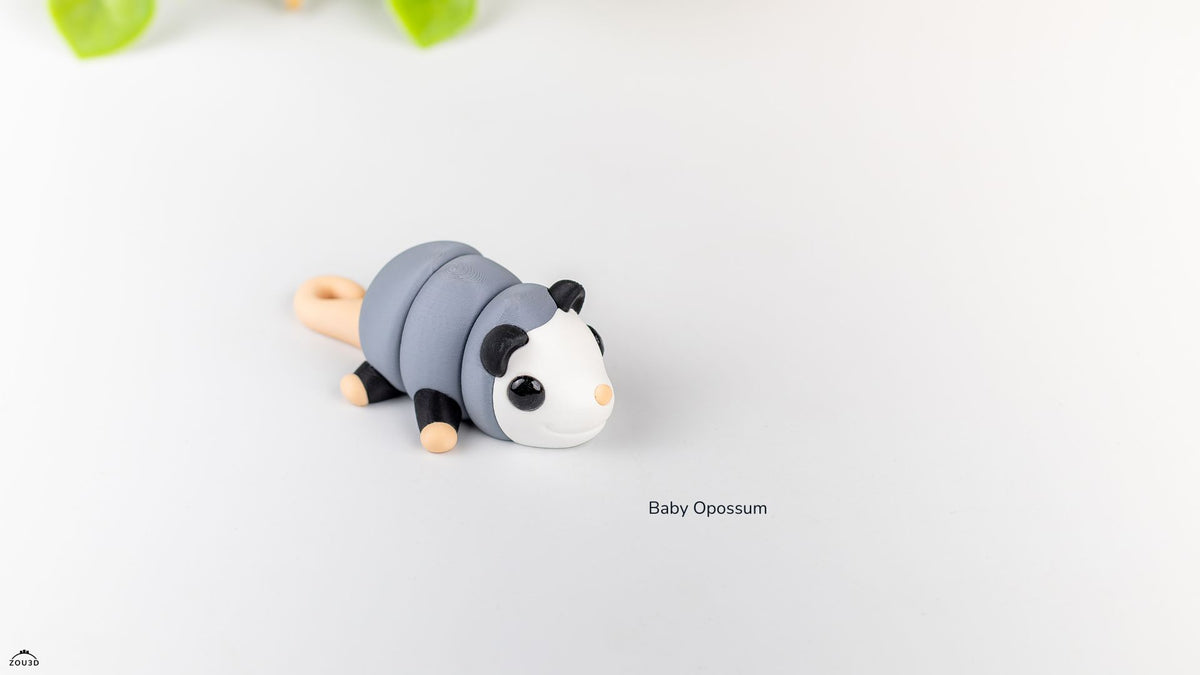 Baby Opossum