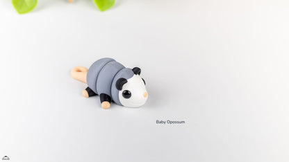 Baby Opossum