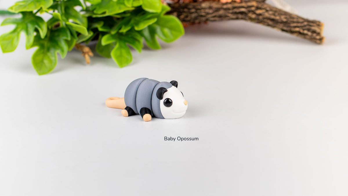 Baby Opossum