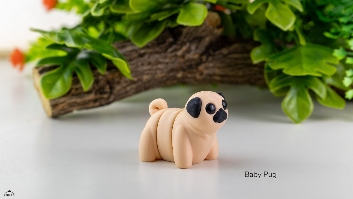 Baby Pug