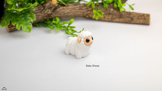 Baby Sheep